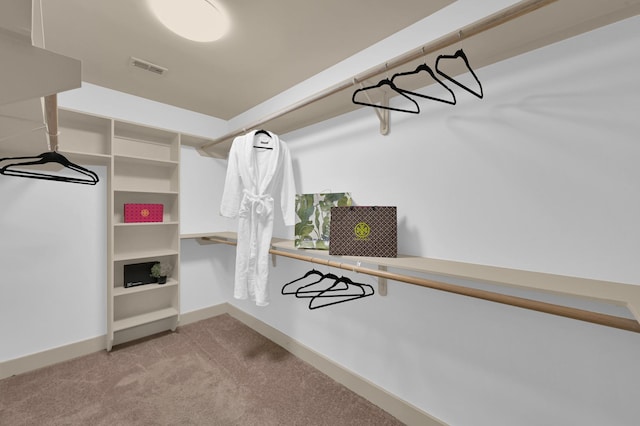 4310 Wigton Dr, Houston, TX 77096 - spacious closet with light colored carpet