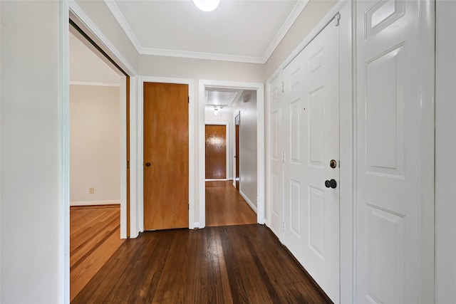 709 Woodard St, Houston, TX 77009 - photo 4