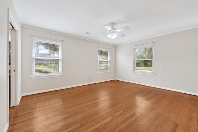 709 Woodard St, Houston, TX 77009 - photo 17