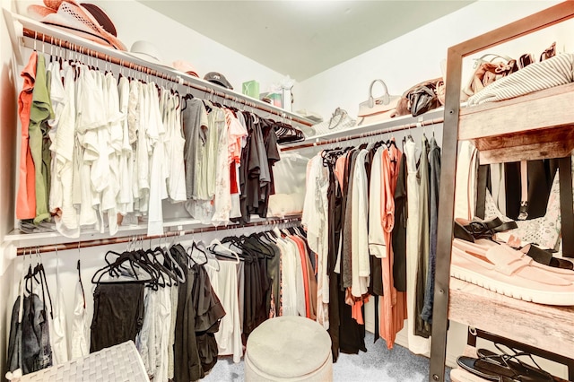 11715 Cypresswood Dr, Houston, TX 77070 - spacious closet with carpet