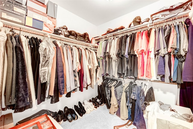 11715 Cypresswood Dr, Houston, TX 77070 - spacious closet with carpet floors