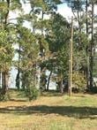 1867 Fm-3186, Onalaska, TX 77360