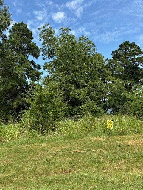 1867 Fm-3186, Onalaska, TX 77360