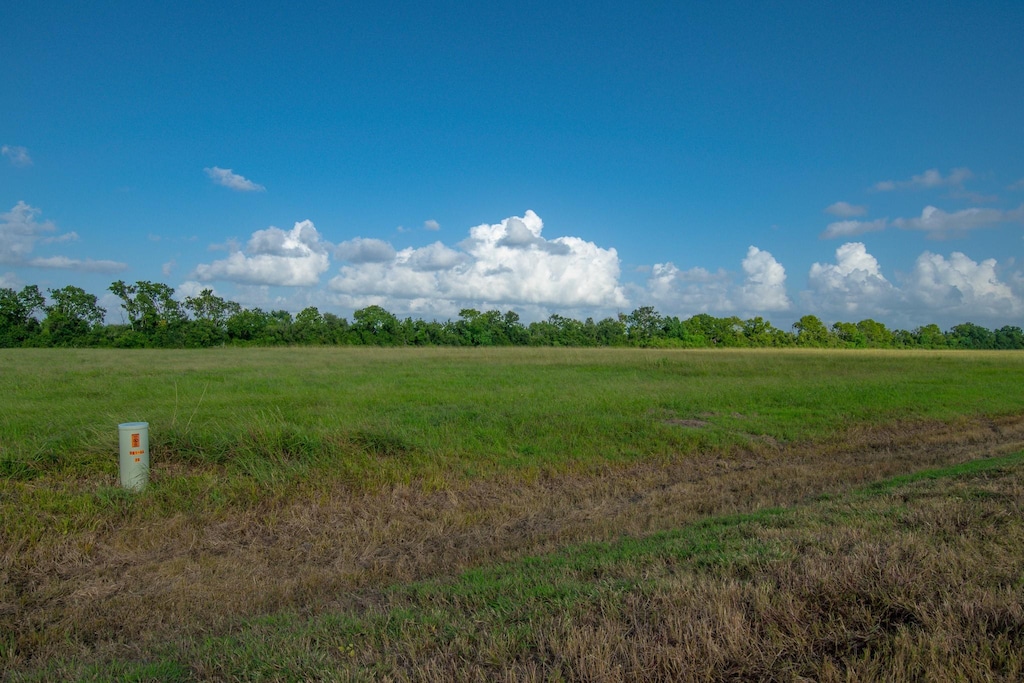 1 Brahman Trl, Angleton, TX 77515 - photo 1