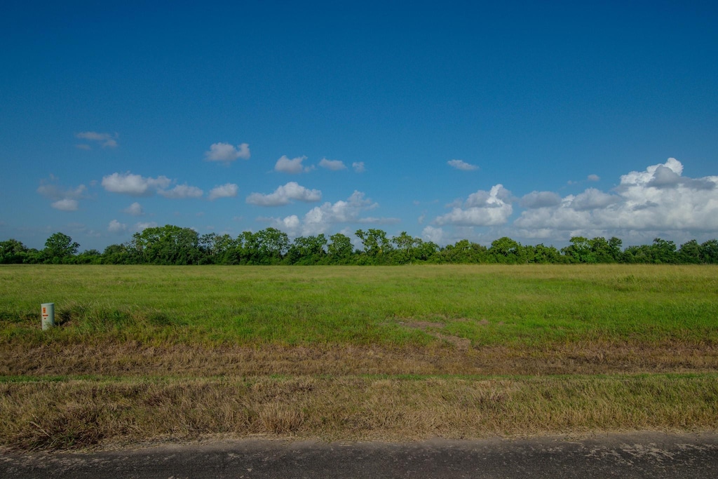 1 Brahman Trl, Angleton, TX 77515 - photo 2