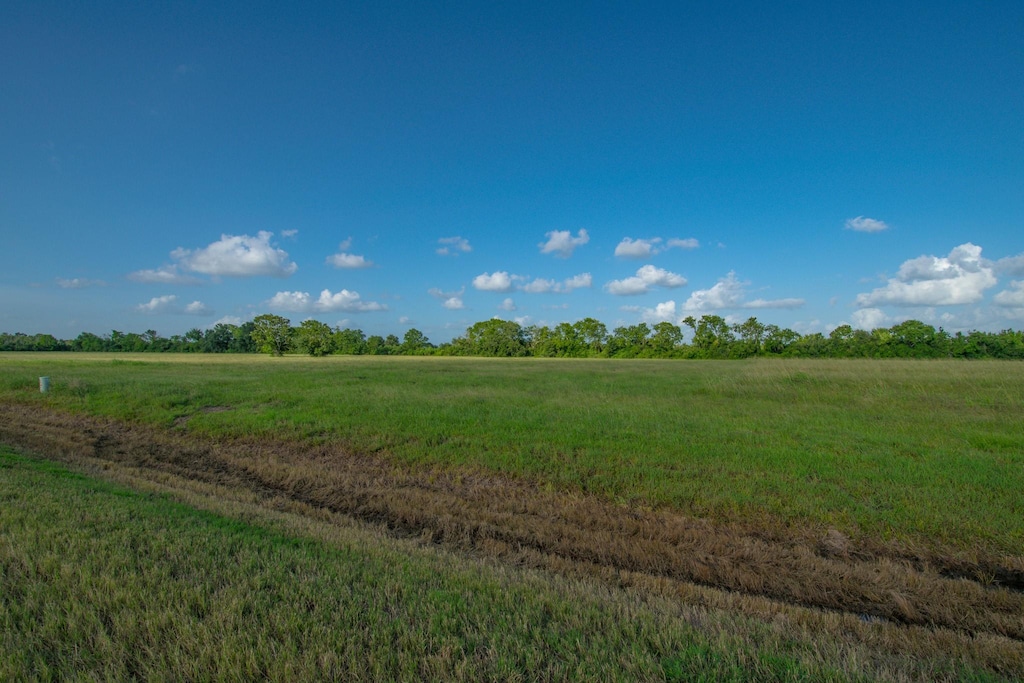 1 Brahman Trl, Angleton, TX 77515 - photo 3