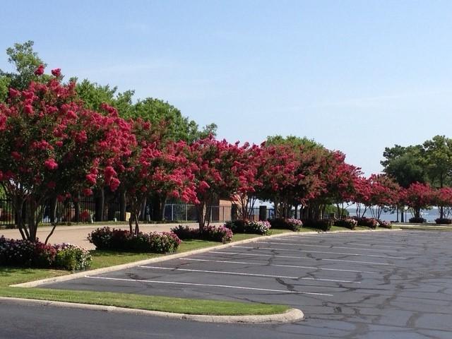 12800 Melville Dr Unit 209-B, Montgomery, TX 77356 - photo 2