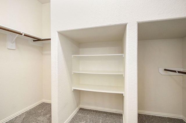 2311 Langley Dr, Rosharon, TX 77583 - walk in closet featuring carpet