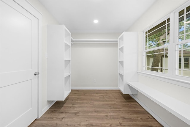 73 Fairway Dr, Normangee, TX 77871 - spacious closet with wood finished floors
