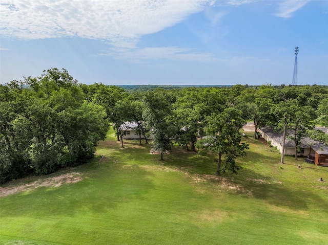 73 Fairway Dr, Normangee, TX 77871 - view of green lawn