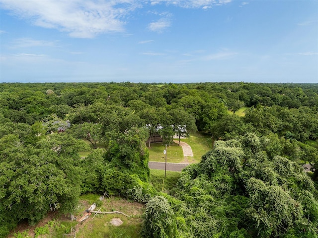 73 Fairway Dr, Normangee, TX 77871 - drone / aerial view of a heavily wooded area