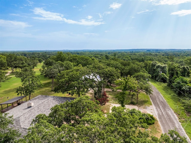 73 Fairway Dr, Normangee, TX 77871 - bird's eye view of a forest