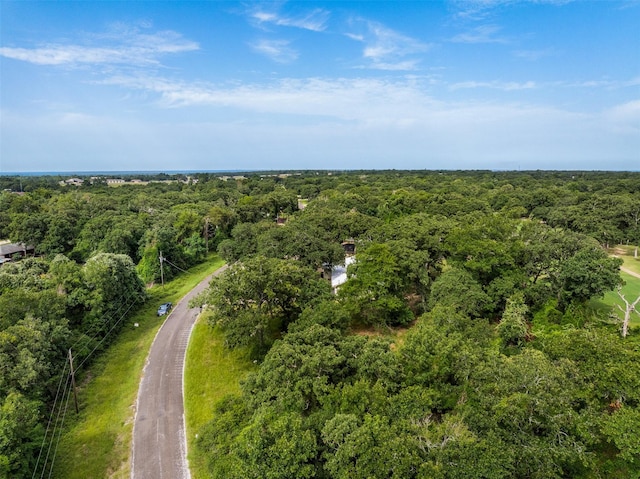 73 Fairway Dr, Normangee, TX 77871 - view of property location featuring a heavily wooded area