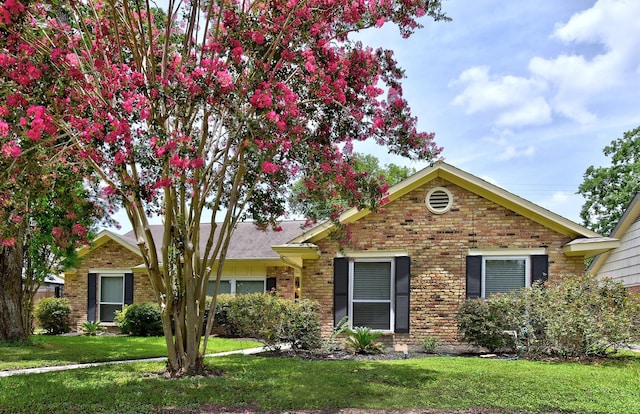 5926 Lattimer Dr, Houston, TX 77035 - view of front of home featuring brick siding and a front lawn