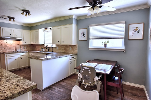 5926 Lattimer Dr, Houston, TX 77035 - kitchen featuring under cabinet range hood, a peninsula, backsplash, plenty of natural light, and crown molding