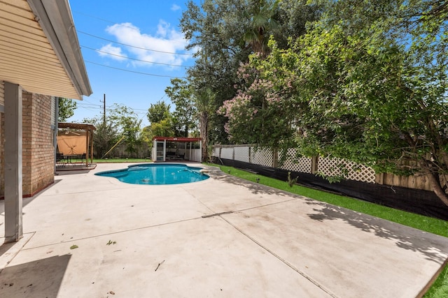 9827 Gold Cup Way, Houston, TX 77065 - view of pool featuring a fenced backyard and a patio area