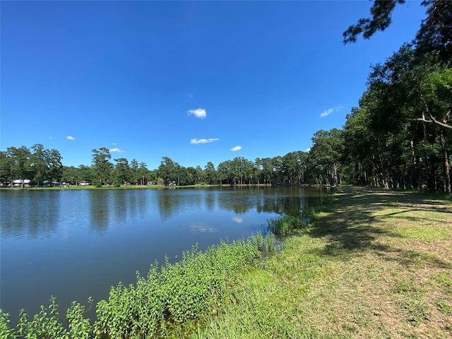 19725 W Lakeshore Dr, Magnolia, TX 77354 - photo 8