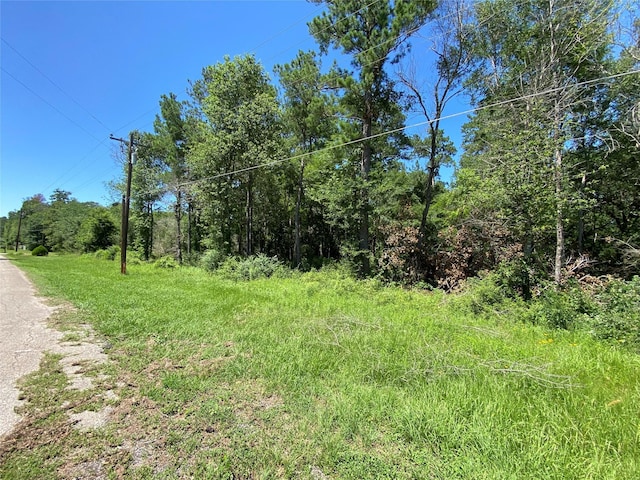 19725 W Lakeshore Dr, Magnolia, TX 77354 - photo 1