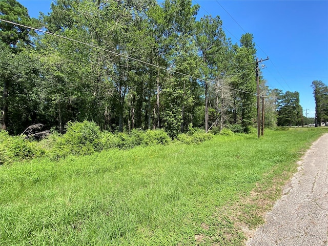 19725 W Lakeshore Dr, Magnolia, TX 77354 - photo 2