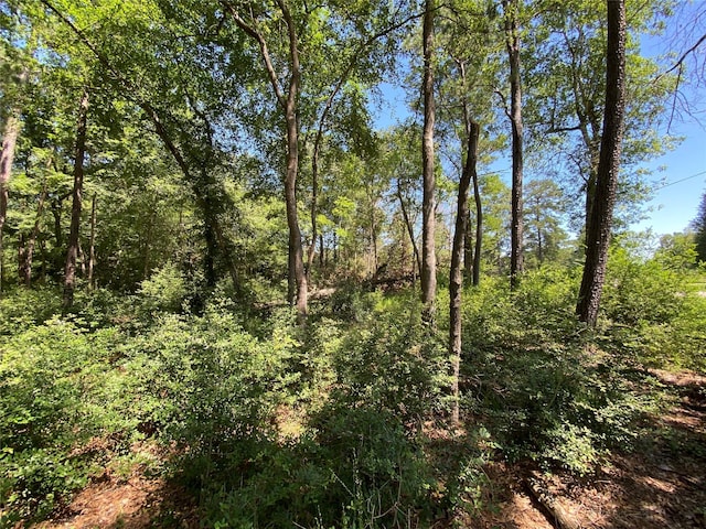 19725 W Lakeshore Dr, Magnolia, TX 77354 - photo 3