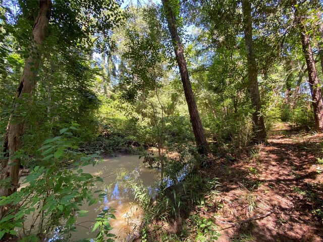 19725 W Lakeshore Dr, Magnolia, TX 77354 - photo 4