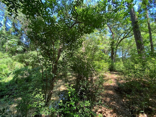 19725 W Lakeshore Dr, Magnolia, TX 77354 - photo 5