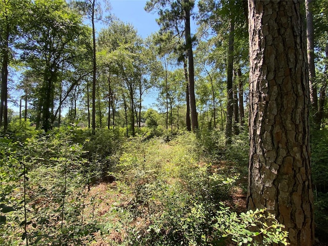 19725 W Lakeshore Dr, Magnolia, TX 77354 - photo 6