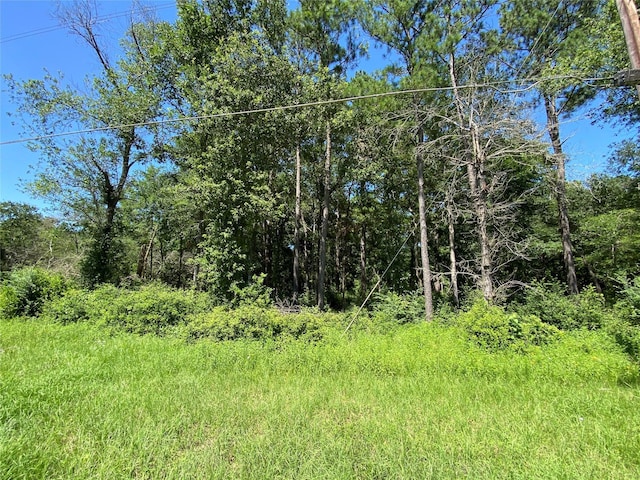 19725 W Lakeshore Dr, Magnolia, TX 77354 - photo 7