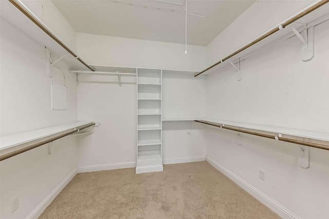 6107 Stillman St, Houston, TX 77007 - spacious closet featuring attic access and light colored carpet