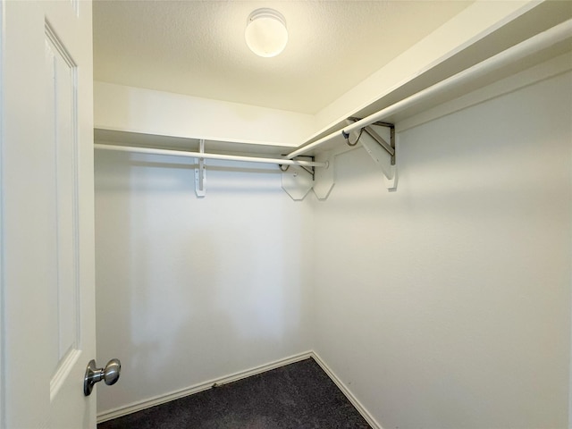 10912 Gulf Fwy Unit 68, Houston, TX 77034 - spacious closet with carpet