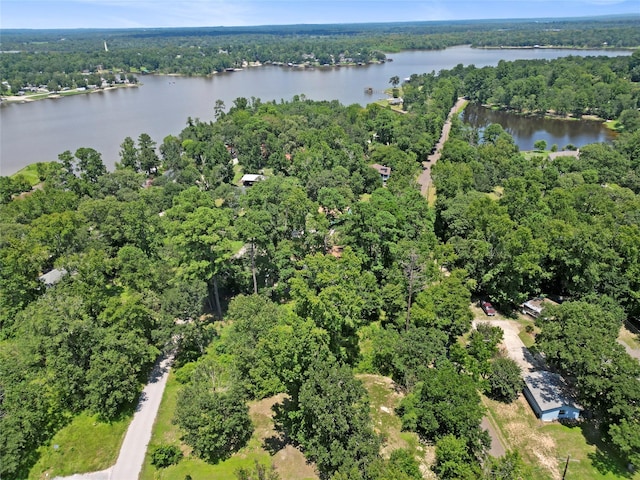 32 Hill Top Rd, Huntsville, TX 77340 - photo 3