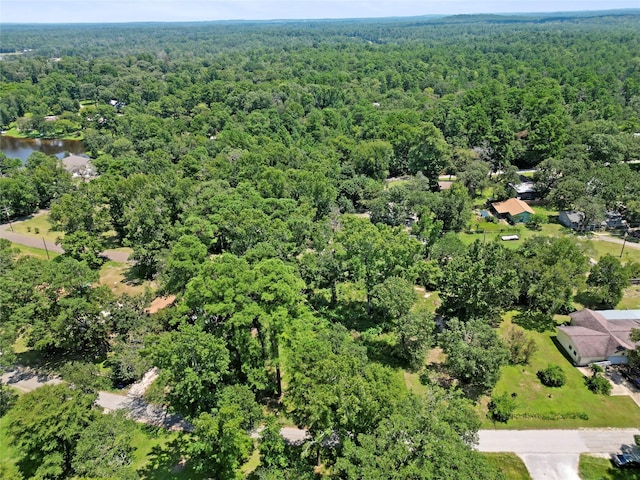 32 Hill Top Rd, Huntsville, TX 77340 - photo 4