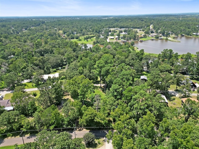 32 Hill Top Rd, Huntsville, TX 77340 - photo 7