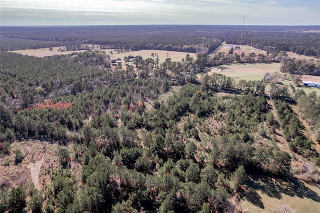 262 Bill Jones Rd, Groveton, TX 75845 - photo 16