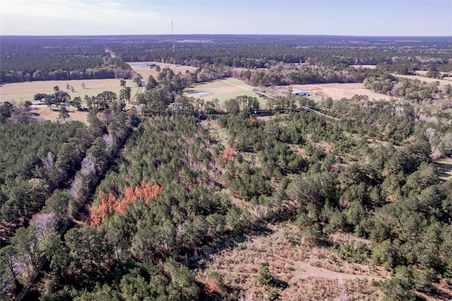 262 Bill Jones Rd, Groveton, TX 75845 - photo 17