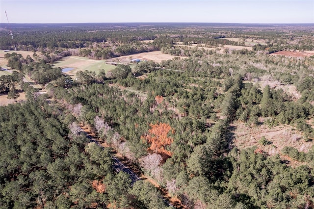 262 Bill Jones Rd, Groveton, TX 75845 - photo 19