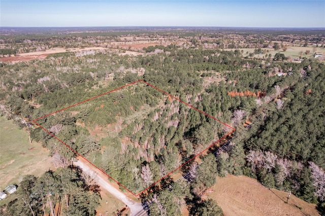 262 Bill Jones Rd, Groveton, TX 75845 - photo 1