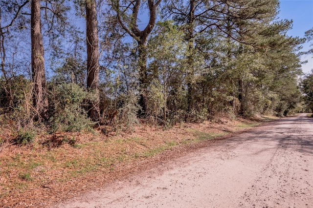 262 Bill Jones Rd, Groveton, TX 75845 - photo 2