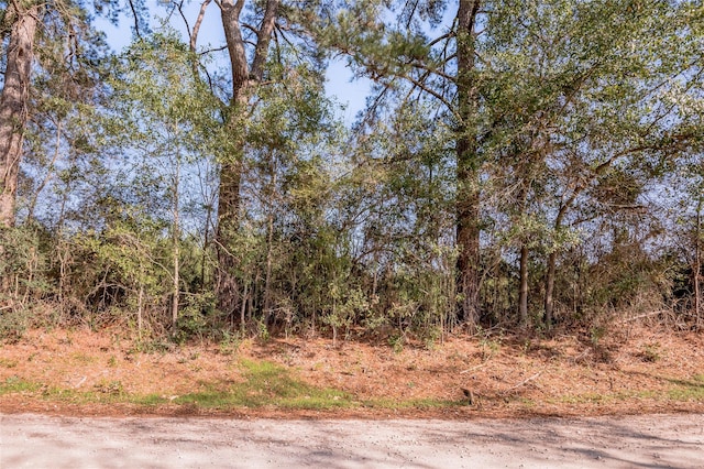 262 Bill Jones Rd, Groveton, TX 75845 - photo 3