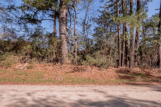262 Bill Jones Rd, Groveton, TX 75845 - photo 5