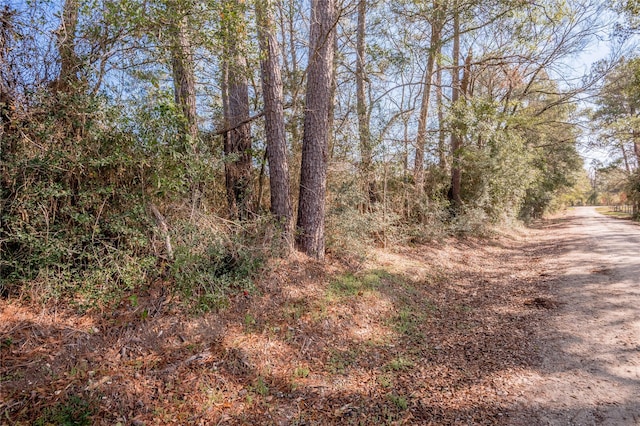 262 Bill Jones Rd, Groveton, TX 75845 - photo 6