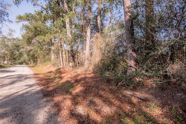 262 Bill Jones Rd, Groveton, TX 75845 - photo 7