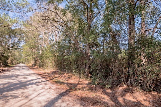 262 Bill Jones Rd, Groveton, TX 75845 - photo 8