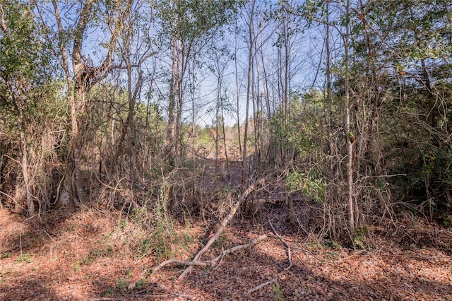 262 Bill Jones Rd, Groveton, TX 75845 - photo 9