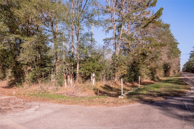 262 Bill Jones Rd, Groveton, TX 75845 - photo 10