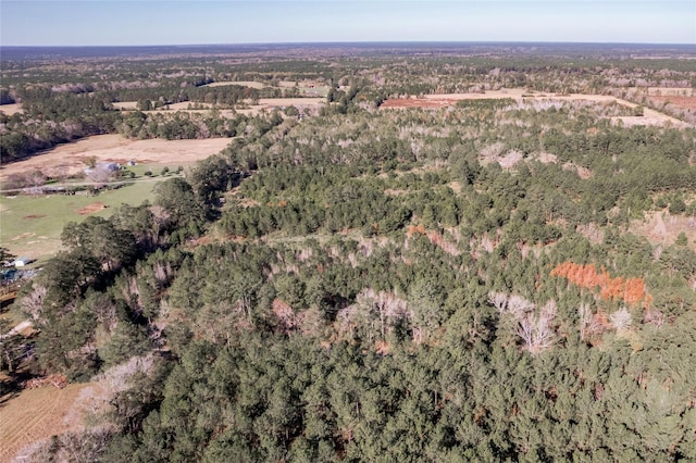 262 Bill Jones Rd, Groveton, TX 75845 - photo 11