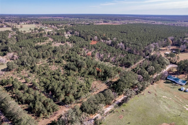 262 Bill Jones Rd, Groveton, TX 75845 - photo 14