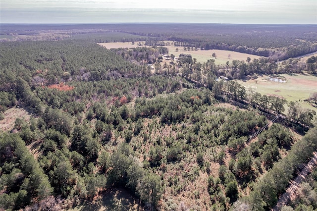 262 Bill Jones Rd, Groveton, TX 75845 - photo 15