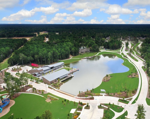 17946 Aqua Haven Ln, Conroe, TX 77302 - photo 43