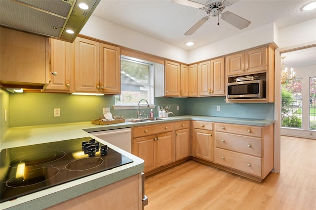18230 Hereford Ln, Houston, TX 77058 - photo 10